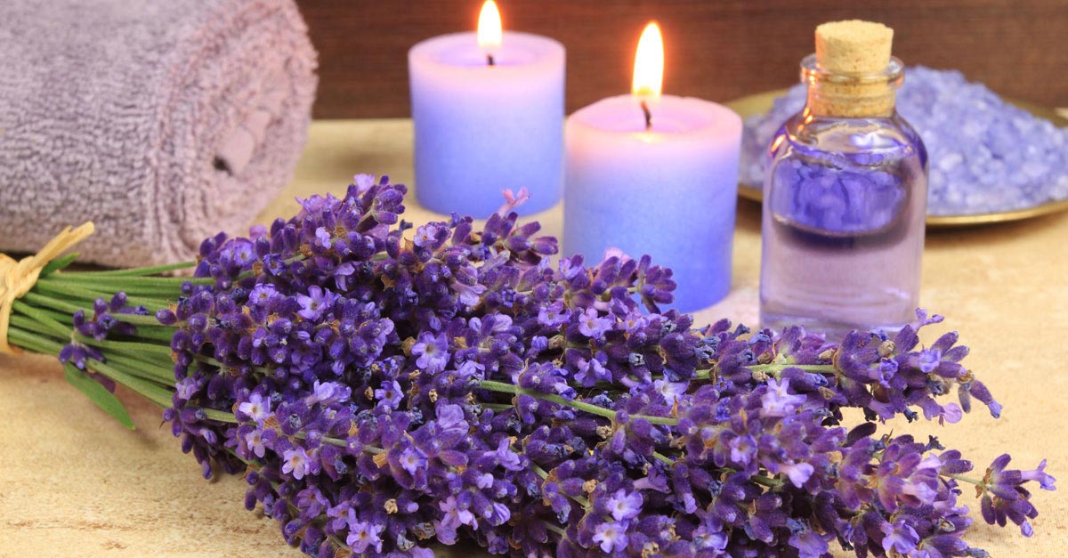 lavender oil art
