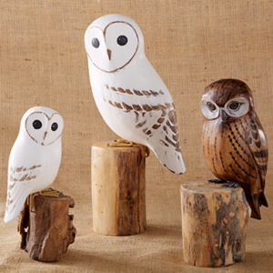 Aviology wood Carved Owls